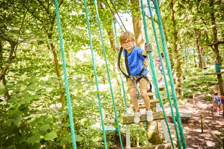 enfant dans les arbres