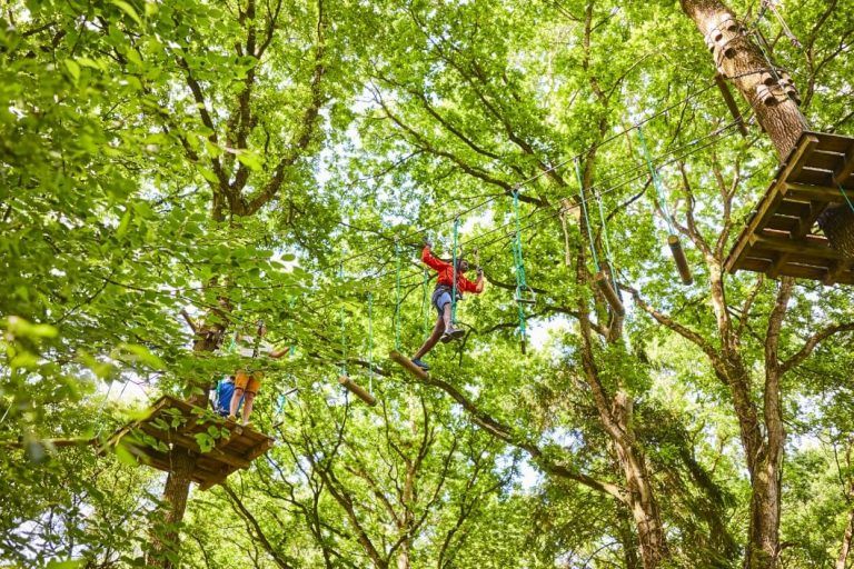 parcours accrobranche